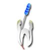 endodonzia2